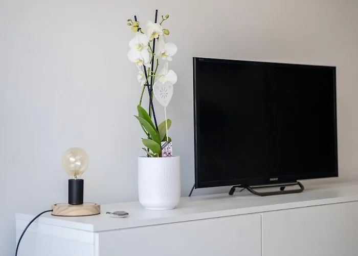 Le Serenity - Proche Gare - Hyper Centre Terrasse