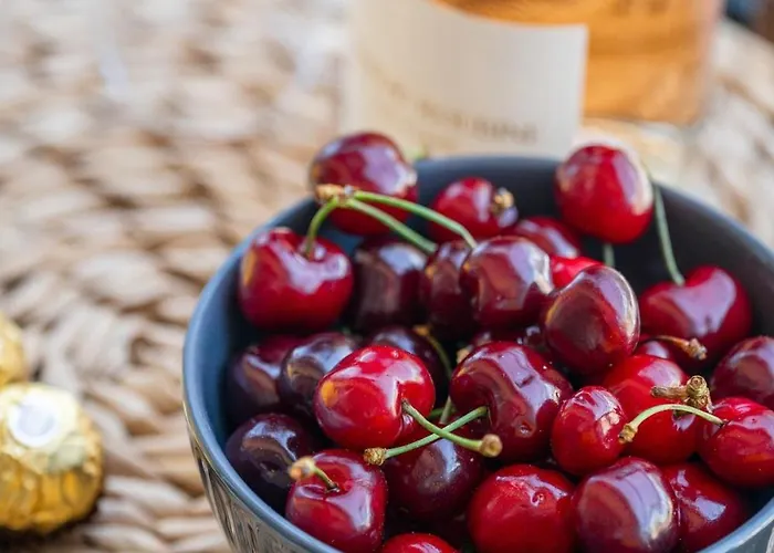 Le Serenity - Proche Gare - Hyper Centre Terrasse Apartman *